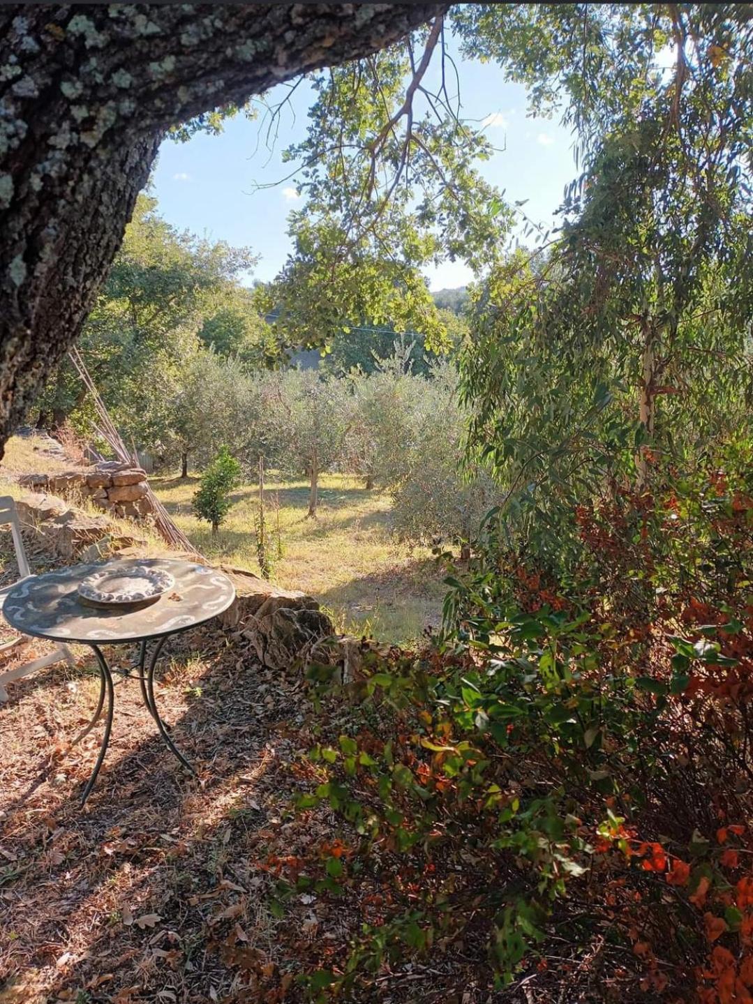 Casa In Maremma Lejlighed Montemerano Eksteriør billede