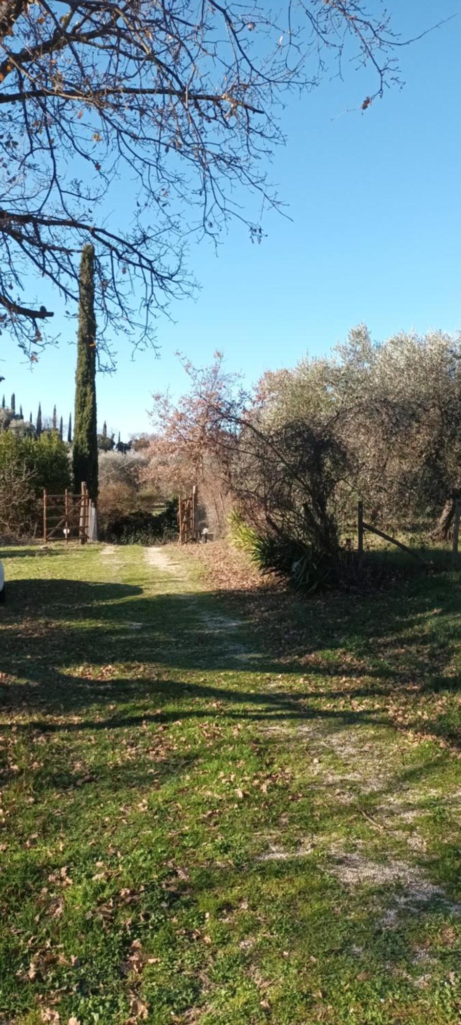 Casa In Maremma Lejlighed Montemerano Eksteriør billede