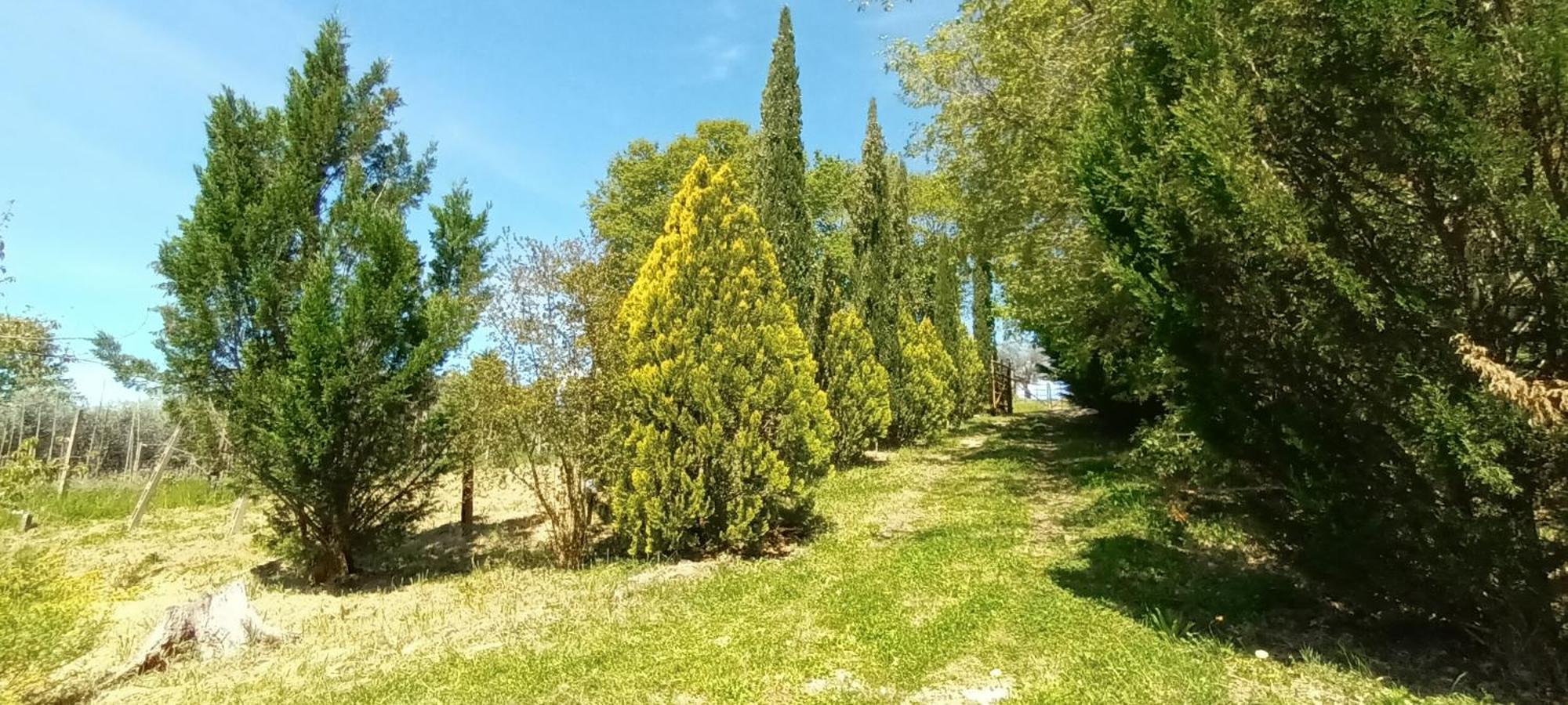 Casa In Maremma Lejlighed Montemerano Eksteriør billede