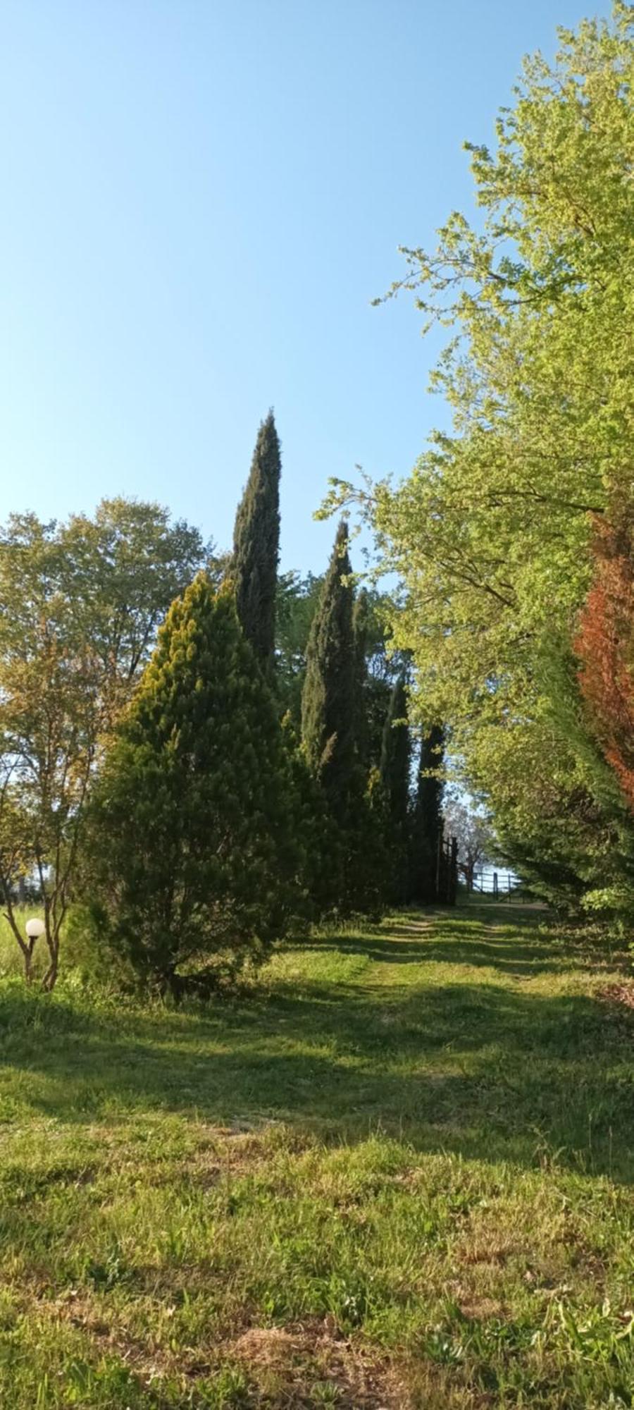 Casa In Maremma Lejlighed Montemerano Eksteriør billede