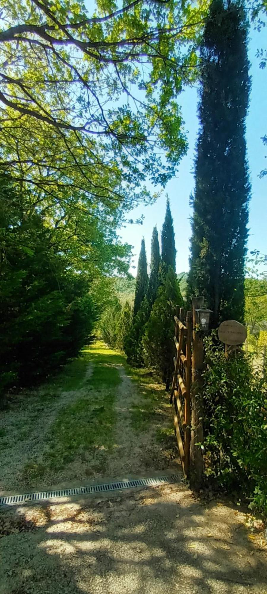 Casa In Maremma Lejlighed Montemerano Eksteriør billede