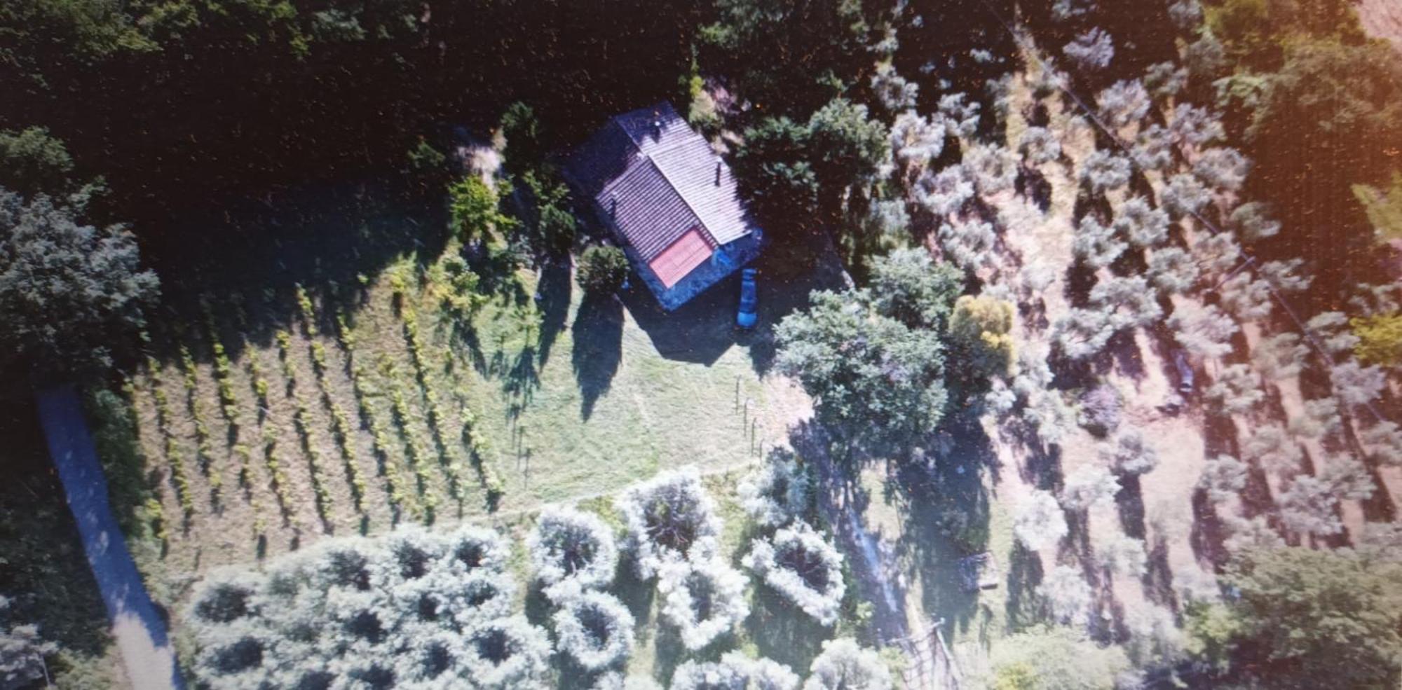 Casa In Maremma Lejlighed Montemerano Eksteriør billede